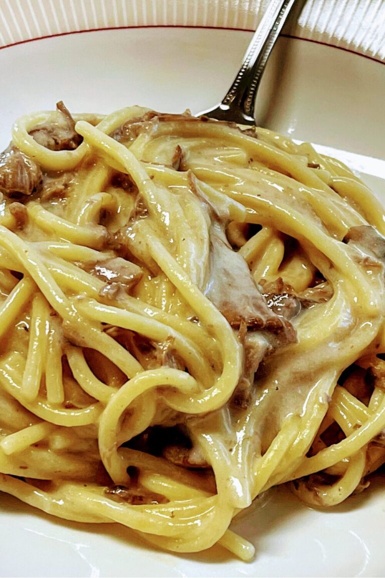 a plate of pasta with venison and morel mushrooms and a mushroom gravy