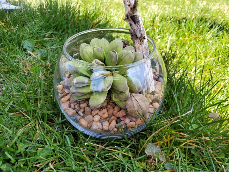 finish terrarium outside