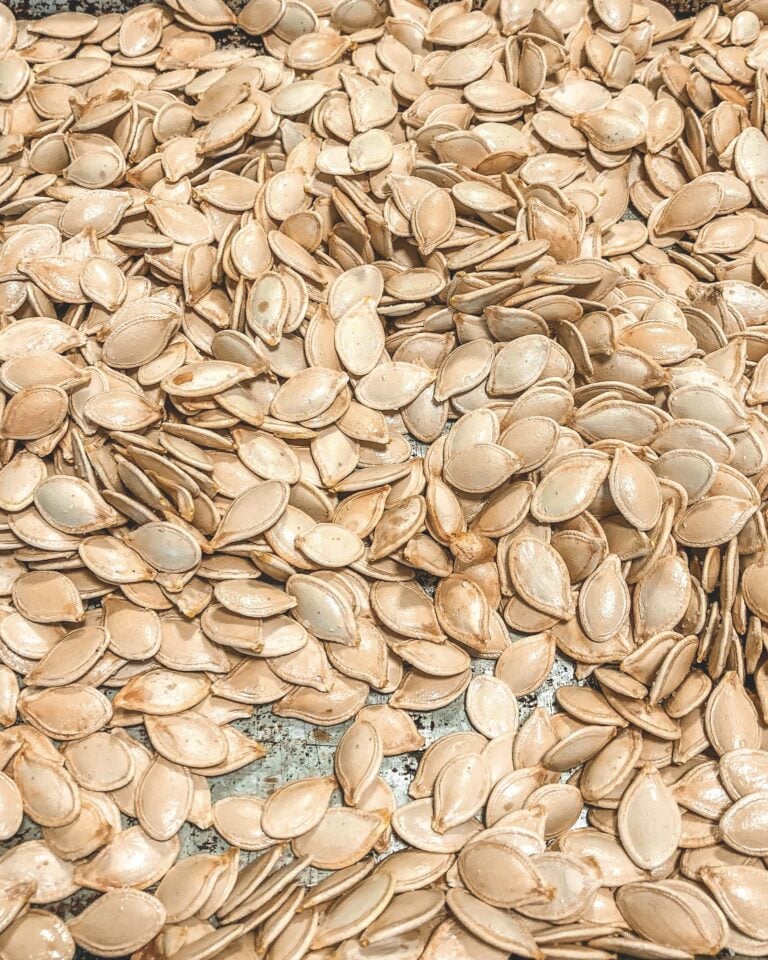 close up of pumpkin seeds after baking in the oven.