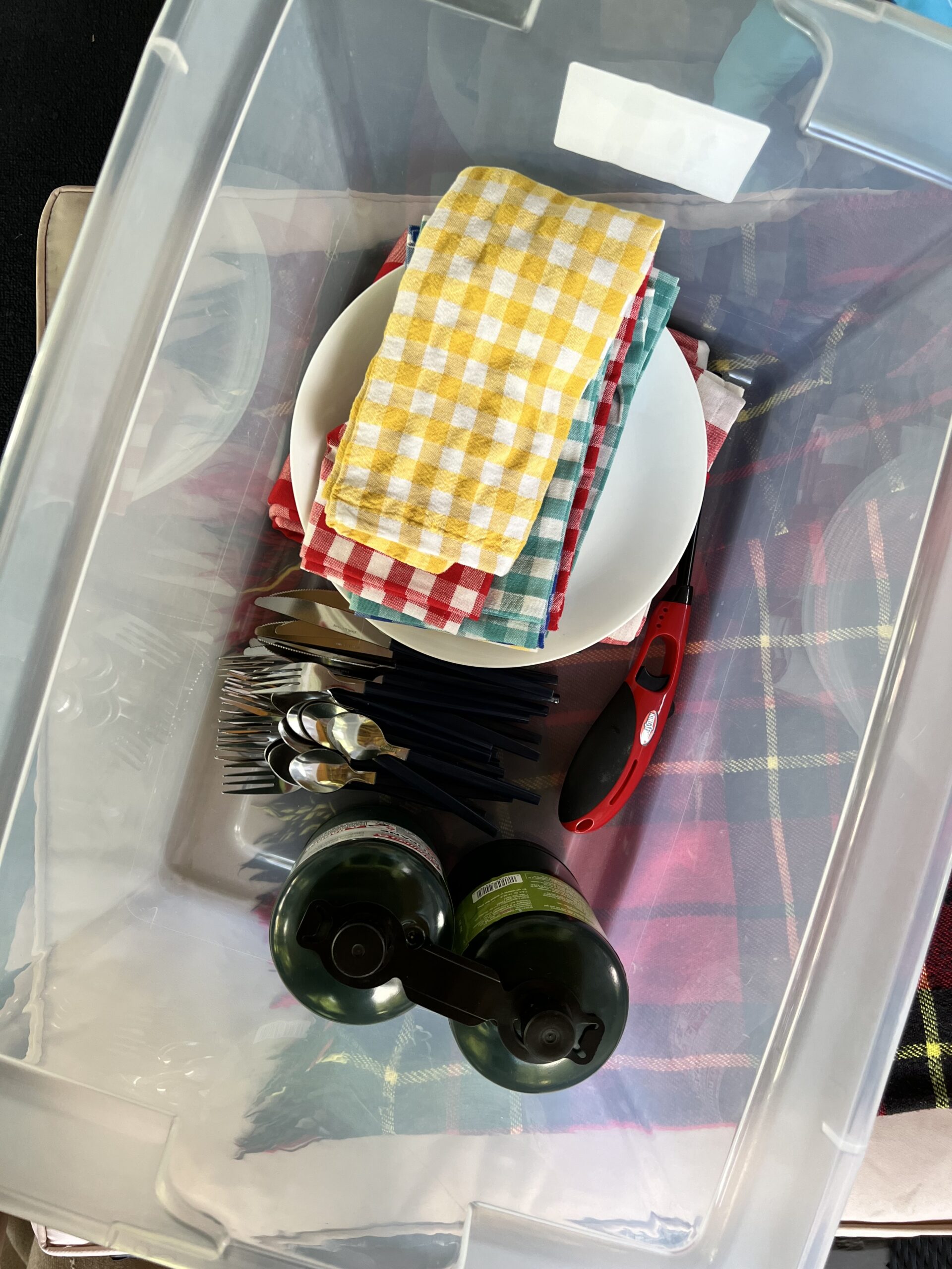 Our Picnic bin all ready to go