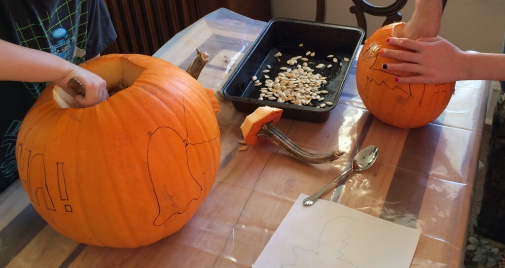 Pumpkins being carved, and seeds being collected in a pan.
