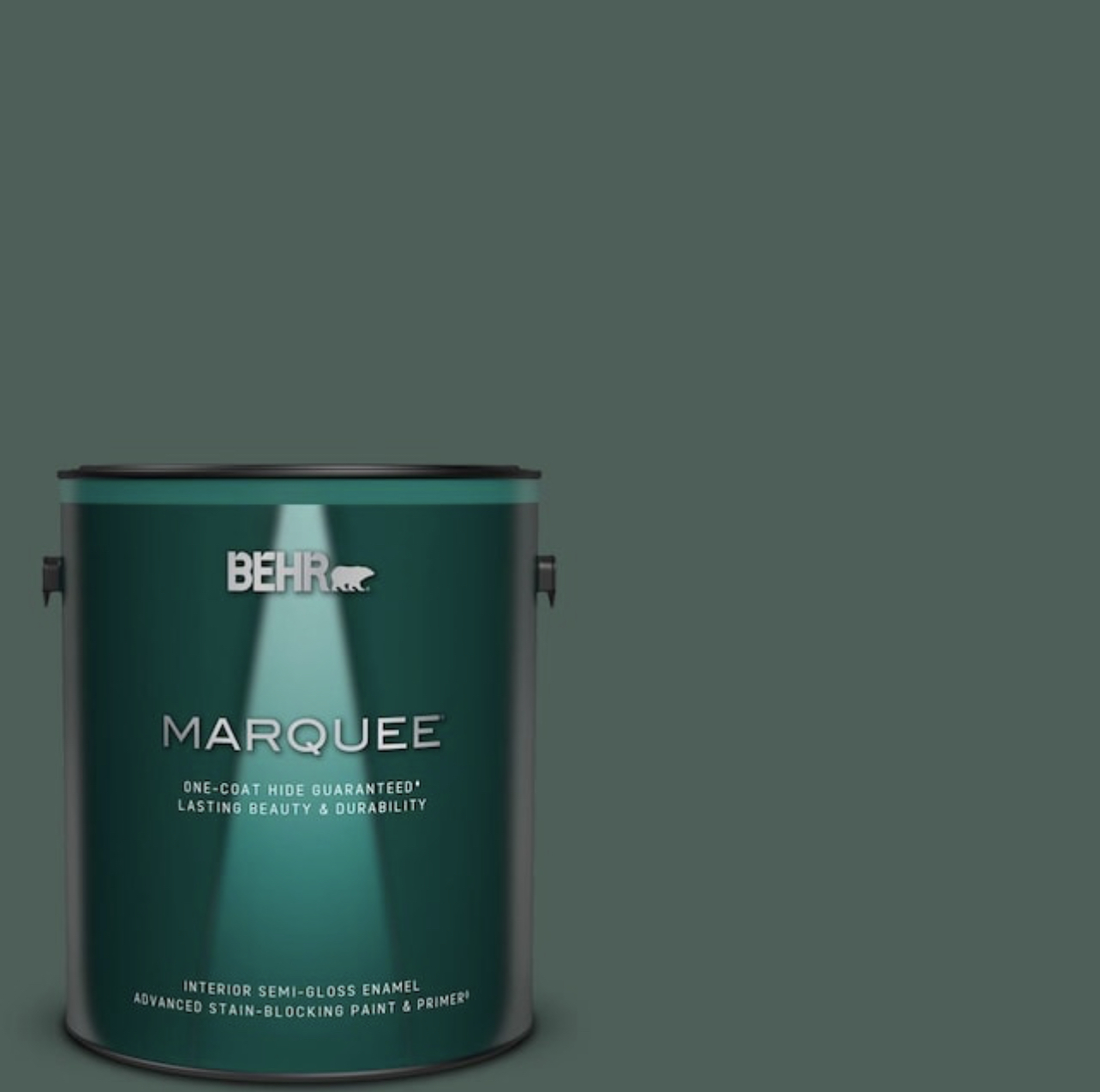 Behr Marquee Semi-gloss in Hunter Green