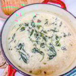Chicken and gnocchi in a larg pot