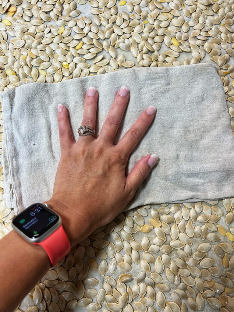 Pumpkin seeds being pat dry