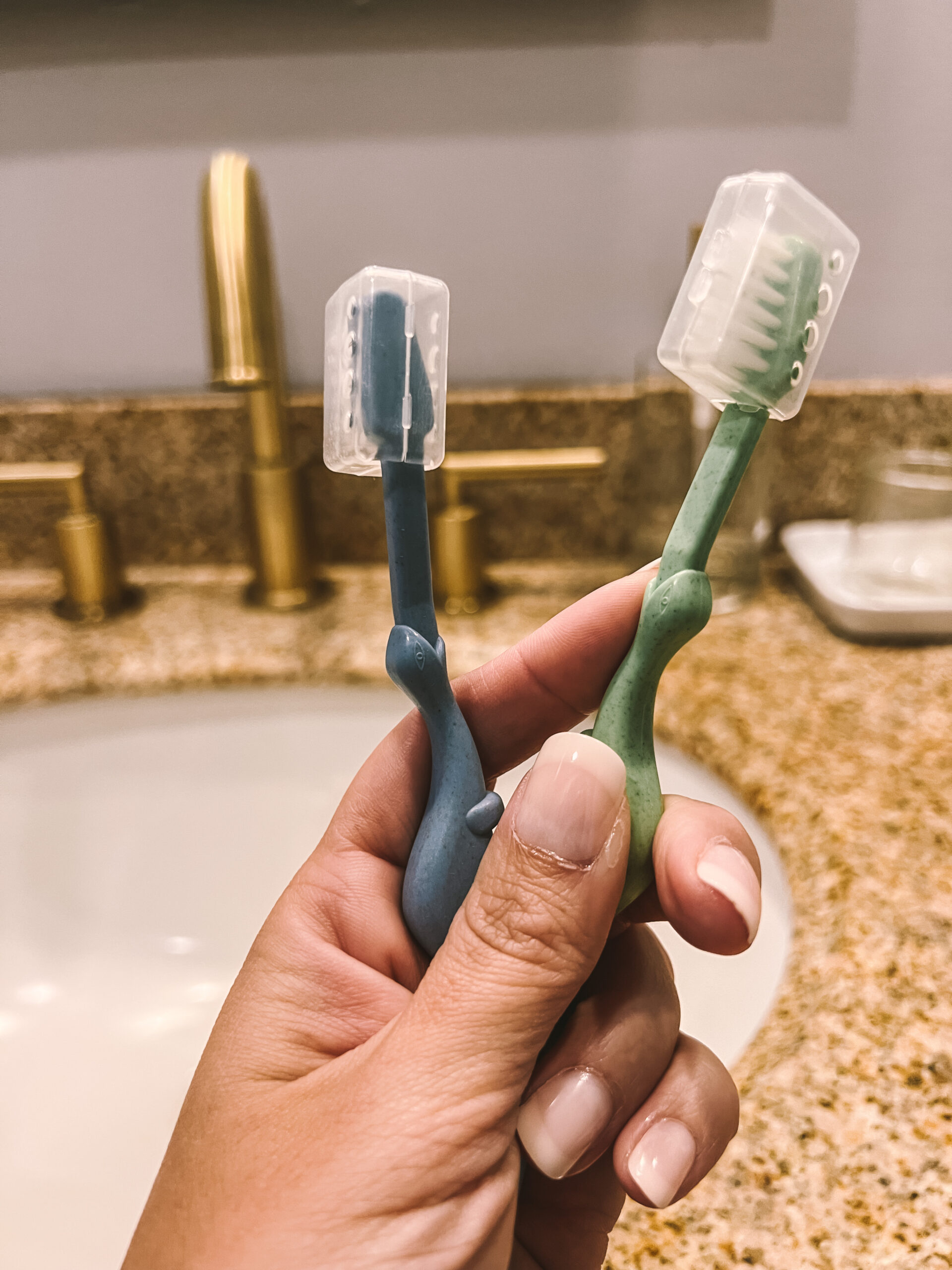 ROARex Toothbrushes- All natural Diplodocus Shape toothbrushes in Blue and green