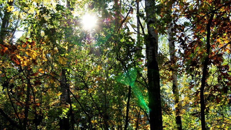 Fall in Wisconsin