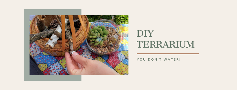 DIY Terrarium Blog Banner