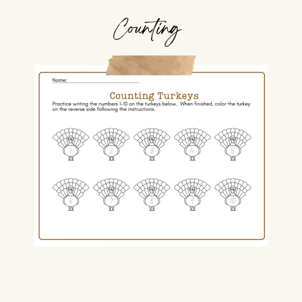 Image of the Turkey Counting page