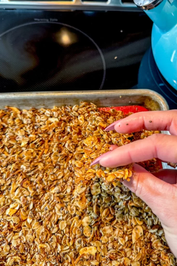 Homemade Granola granola chunk in hand